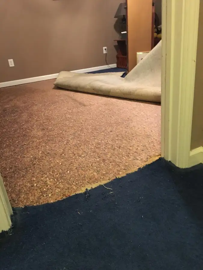 Carpet pad removal revealing water damage during Drying & Dehumidification in Poulsbo