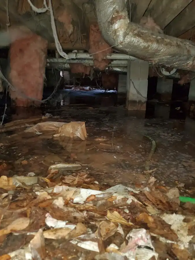 Crawl space flood assessment for Leak Detection & Repair in Poulsbo