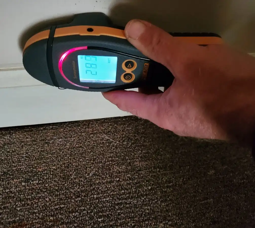 Moisture detection at baseboard during Sewage Cleanup & Sanitation in Poulsbo